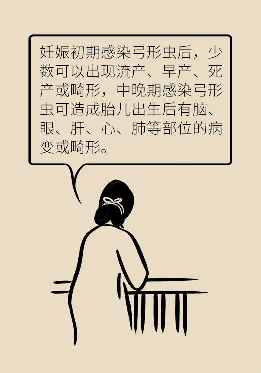 懷孕了不能養(yǎng)貓狗？別再信這些謠言了