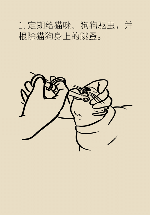 懷孕了不能養(yǎng)貓狗？別再信這些謠言了