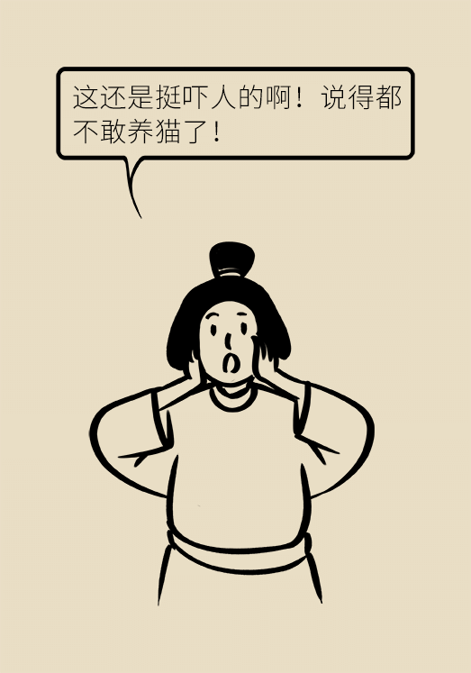 懷孕了不能養(yǎng)貓狗？別再信這些謠言了