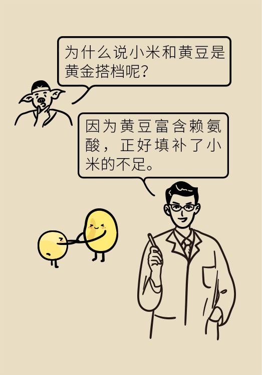 小米黃豆豬蹄怎么做才健康？