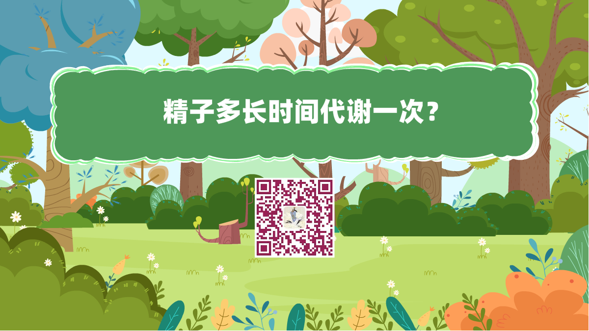 十萬(wàn)個(gè)為什么標(biāo)題(精子多長(zhǎng)時(shí)間代謝一次)1200.png 十萬(wàn)個(gè)為什么標(biāo)題(精子多長(zhǎng)時(shí)間代謝一次)1200.png