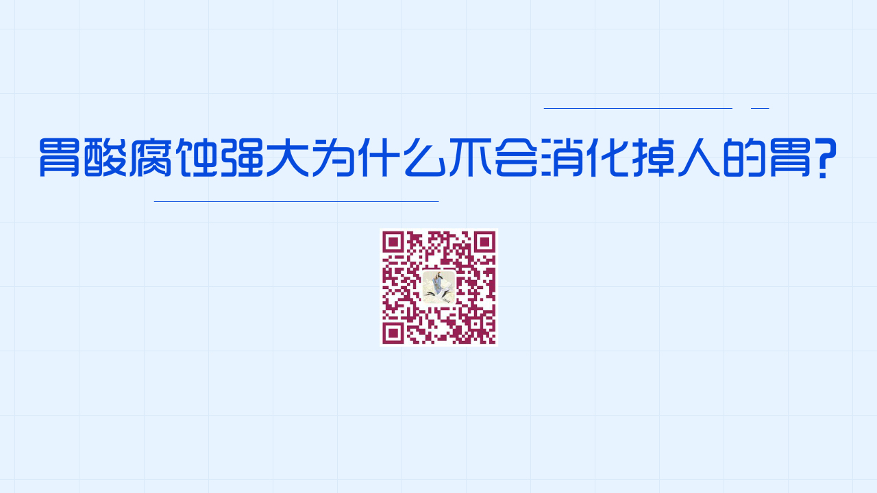 胃酸腐蝕能力強(qiáng)大為什么不會消化掉人的胃？1200.jpg