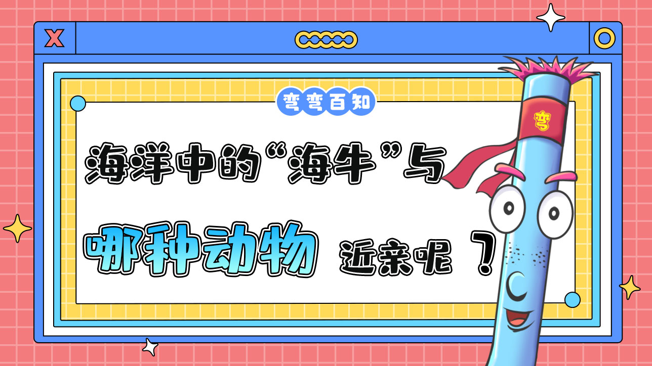 海洋中的“海?！迸c哪種動(dòng)物是近親呢？.jpg