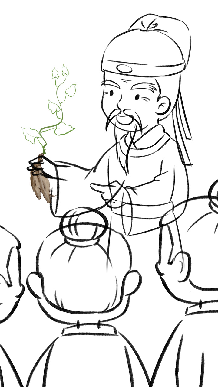 《遍問(wèn)眾人，沒(méi)有一人能夠認(rèn)得這是什么植物！》線(xiàn)稿構(gòu)圖.jpg