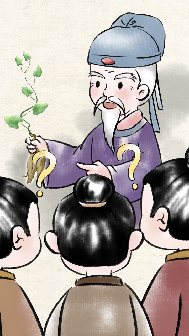 《遍問(wèn)眾人，沒(méi)有一人能夠認(rèn)得這是什么植物！》線(xiàn)稿上色.jpg