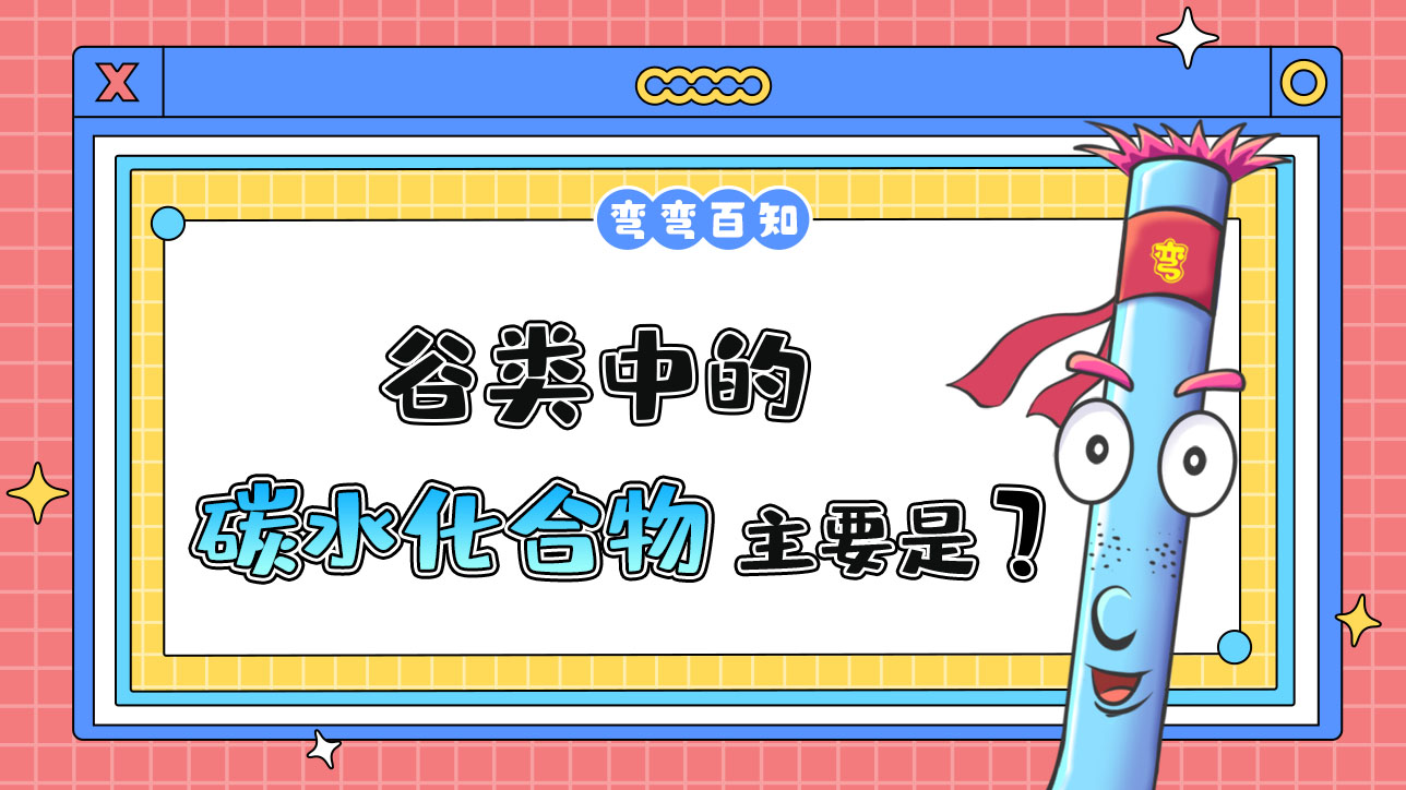 谷類中的碳水化合物主要是？.jpg