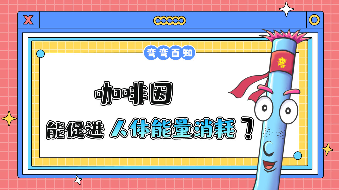 咖啡因能促進(jìn)人體的能量消耗嗎？.jpg