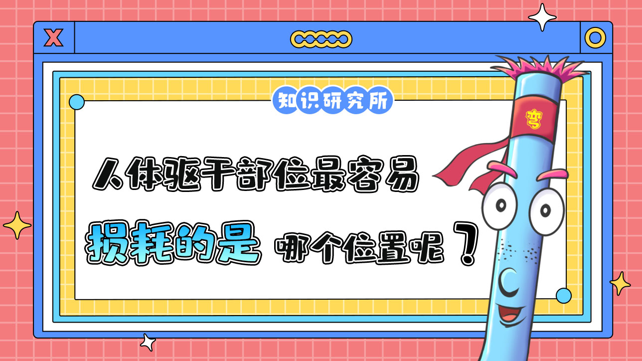 人體驅(qū)干部位最容易損耗的是哪里呢？.jpg