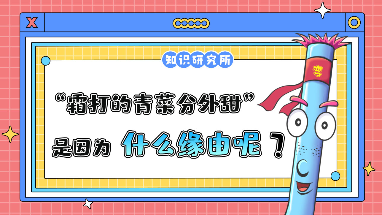 俗話說“霜打的青菜分外甜”，是因為什么呢？.jpg