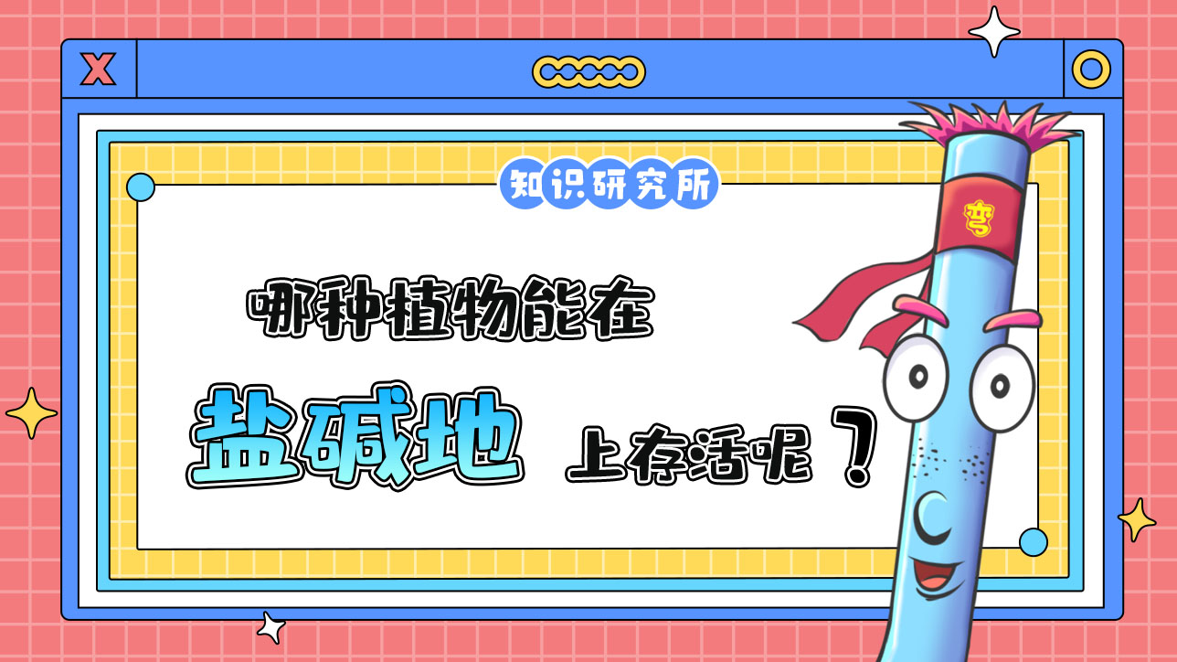 哪種植物能在鹽堿地上存活呢？.jpg