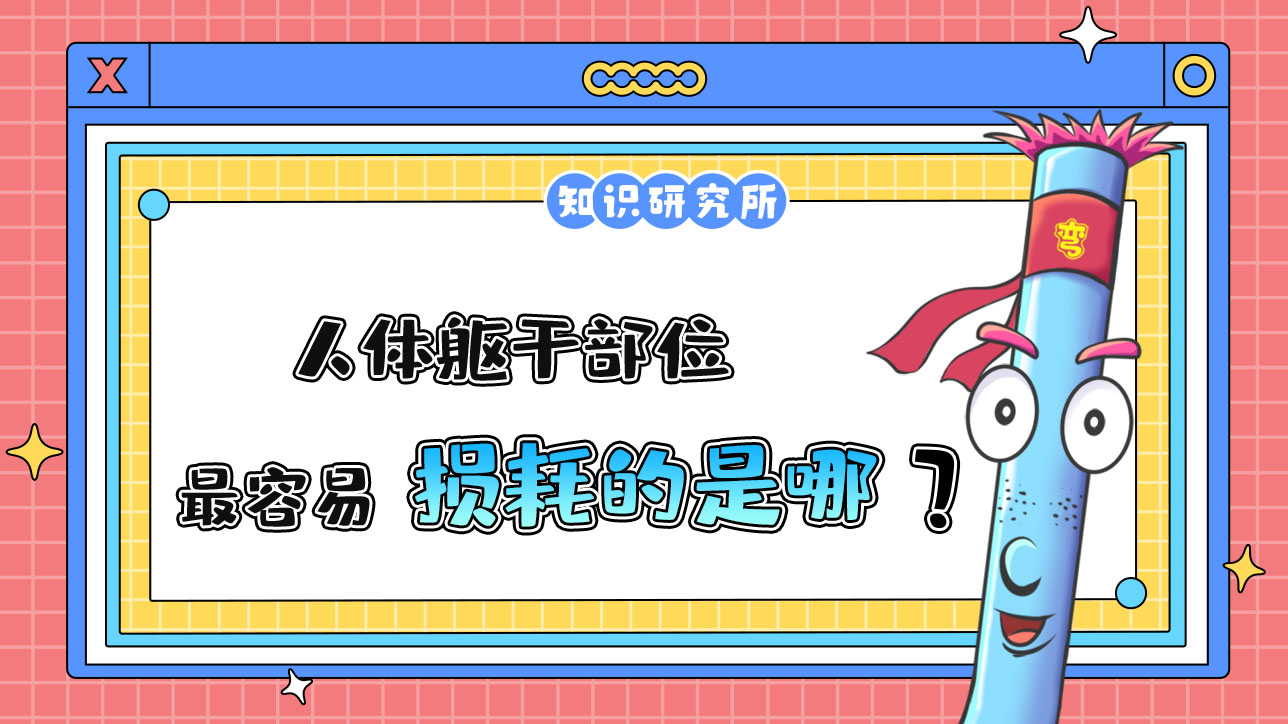 人體軀干部位最容易損耗的是？.jpg