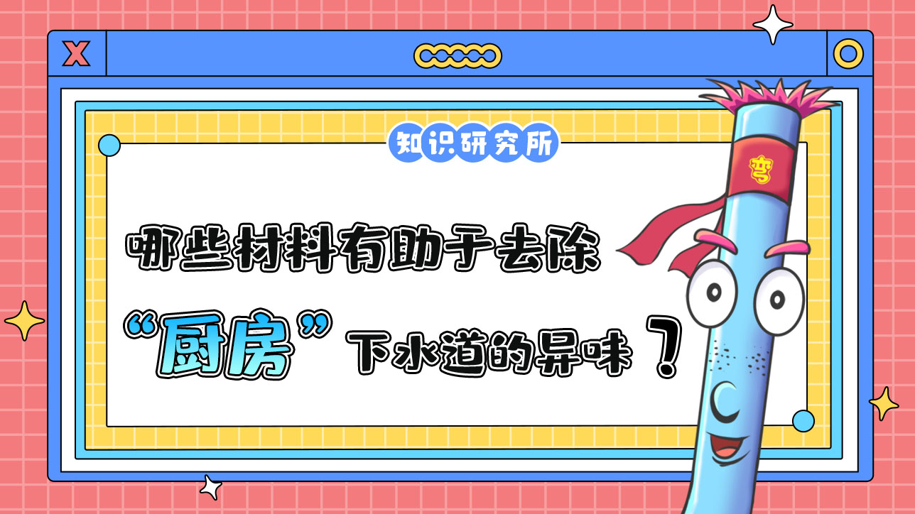 哪些材料有助于去除廚房下水道的異味？.jpg