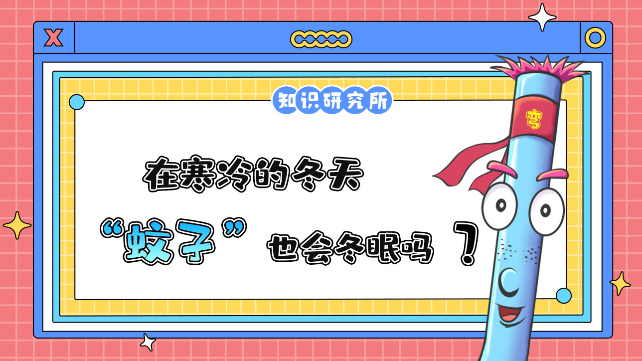 在寒冷的冬天，蚊子也會冬眠嗎？.jpg